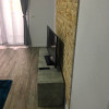 Apartament cu 2 camere decomandat, zona Giroc thumb 2